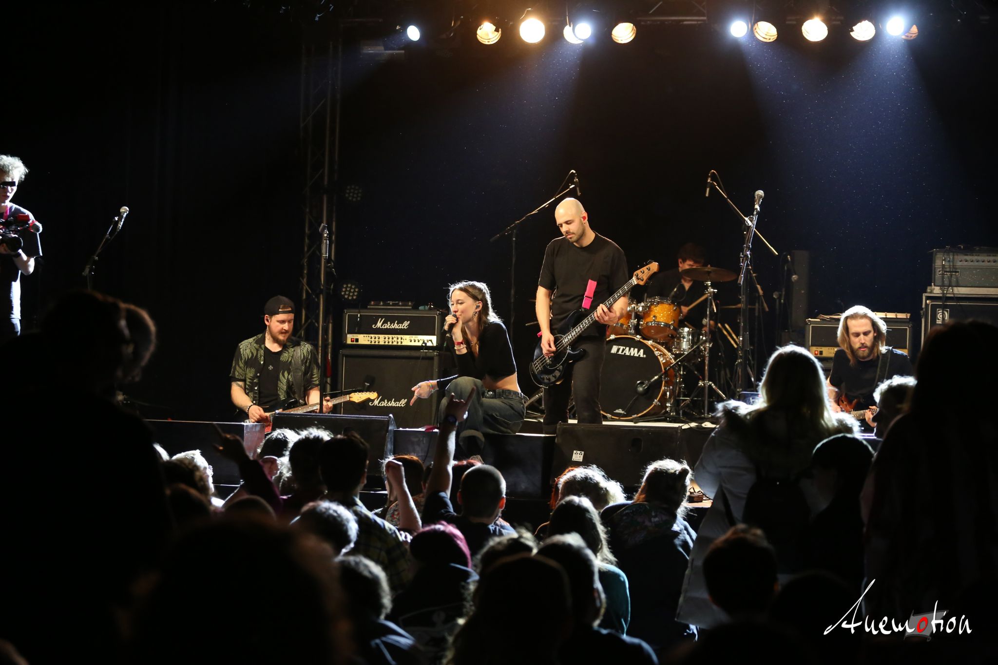 ElephantsFalling (82)